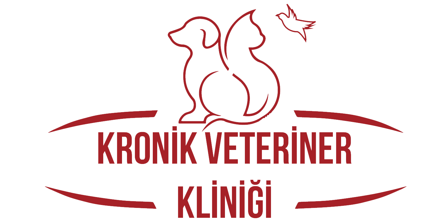 biVet